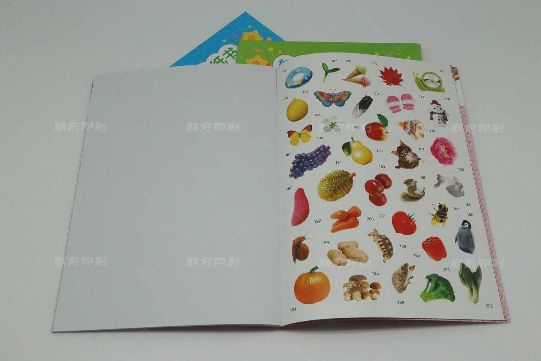 廣州好口碑畫冊制作公司 廣州包裝印刷公司